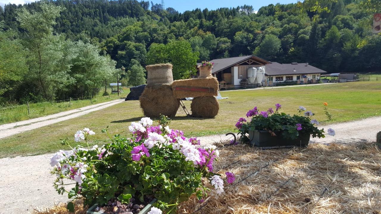 Agriturismo Fattoria Dalcastagne Villa Torcegno Exterior foto